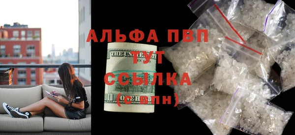 стаф Гусев