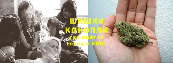 стаф Гусев