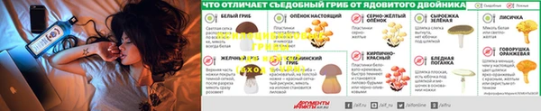 герыч Гусь-Хрустальный