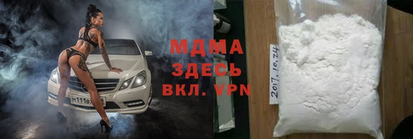 стаф Гусев