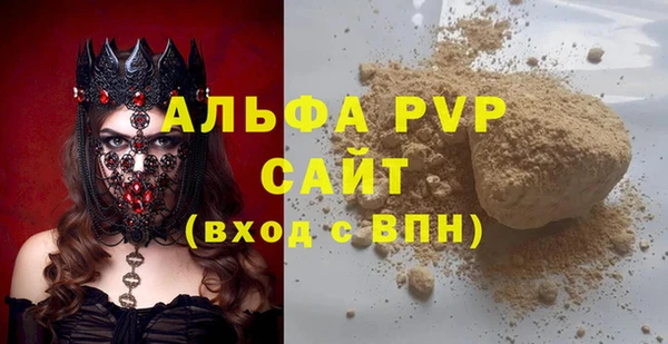 стаф Гусев