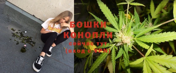 гидра Гусиноозёрск