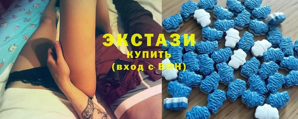 стаф Гусев